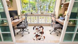 Symphony Heights (D21), Condominium #637341501
